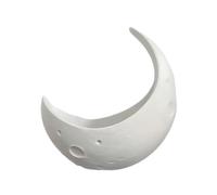 Moon Planter, Wall Half Cactus Pot, 6.3x4.57x7.09 Inches Basin with Chain, Weatherproof Resin Outdoor Decor, Elegant Celestial Finish with Style, Holder for Home and Garden