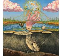 Moon tooth - Phototroph [Vinilo]