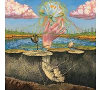 Moon tooth - Phototroph [Vinilo]