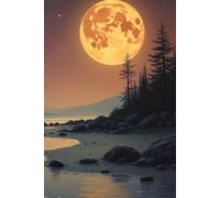 Moonlit Reflections: A Quiet Space for Thoughts, Dreams, and Nighttime Inspiration