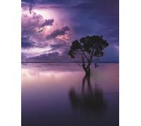 Moonlit Whispers: A Notebook for Dreamers and Stargazers: Featuring a Little Girl and Her Cat Swinging Beneath the Stars - Let Your Imagination Wander