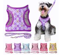 Moonpet Step in Air - Correa y arnés para perro, reflectante, de malla acolchada, sin tirones, patrón floral, para gatos, cachorros, perros extrapequeños, medianos y grandes, flor morada, XS