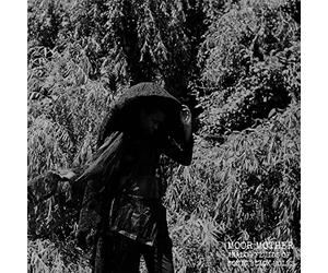 Moor Mother - Analog Fluids Of Sonic Black Holes [Vinilo]