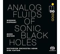 Moor Mother, Wooden Elephant, Beethoven Orchester Bonn, Dirk Kaftan - Analog Fluids Of Sonic Black Holes [Vinilo]