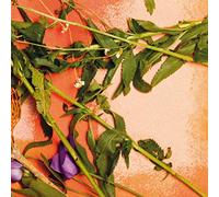 Moore, Denai - We Used to Bloom -Digi-