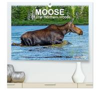 MOOSE Of The Northern Woods (High Quality Premium Wall Calendar 2026 DIN A2 landscape),CALVENDO 12 Month Wall Calendar: Let's follow the moose of ... presents 13 photos of this silent giant.