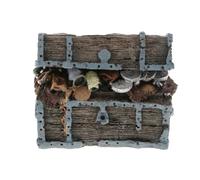 mophrati Adornos para pecera, Adorno de Cofre del Tesoro, decoración para acuarios, Aspecto Natural para Mascotas acuáticas Felices. Hecho de Resina, no daña los Peces ni Las Plantas. Diseñado con