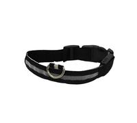 mophrati Collar LED para mascotas, suministros para mascotas, nailon, pérdida brillante, luces antipérdida, collares, accesorios, actividades de seguridad para caminar, Recargable colorido, XS