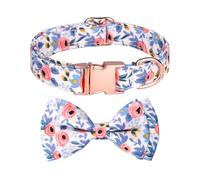 mophrati Collar Universal para Mascotas de 31 a 50cm con patrón de Flores, Hebilla Ajustable, Collares elásticos, Accesorio para Caminar al Aire Libre, Lazo