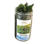 mophrati Dioramas en miniatura de matas de hierba en racimo Modelo hierba estática miniatura para 1:35 amarillo, verde, 10 x 5.5 cm