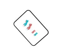 mophrati Materiales de Modelado de Cambios cromosómicos en Meios. Instrumentos didácticos para docentes. Rojo y Azul.