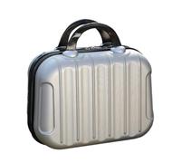 mophrati Organizador de Almacenamiento de Maquillaje de 14 Pulgadas, Caja de ABS, Mini Protector de embarque, Estuche de cosméticos, Bolsa de Gran Capacidad, Regalo de Festival, Plata