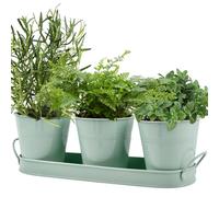 MOPLA Jardín de Hierbas para Interiores con Bandeja,3 Piezas Maceteros para Plantas de Interior,Macetas de Ventana,Maceta de Jardín,Tiestos para Plantas para Cultivar Albahaca, Menta, Perejil y Más