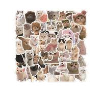MOPZIJA 60PCS pegatinas,stickers gatos,calcomanías divertidas para gatos, calcomanías de vinilo impermeables para amantes de los gatos, botellas de agua, álbumes de recortes, teléfono