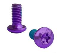 Morado M5 x 10 mm para T25 para tornillos de freno Torx para piezas giratorias de disco, paquete de 12 piezas, pieza giratoria de disco de acero al carbono, sujetadores de montaje compatibles con agua