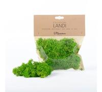 Moranduzzo - Busta Lichene Verde Stabilizzato 50g - Artigianato Made in Italy - Accessori e Materiali per Realizzare un Presepe Tradizionale Fai da Te