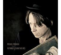 Moravek,Michael - in Transit [Import] [Vinilo]