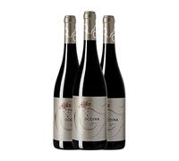 Morca Godina Garnacha Campo de Borja Crianza 75 cl Vino tinto (Caja de 3 Botellas de 75 cl)