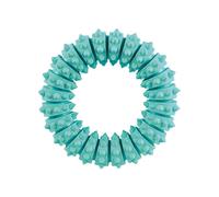Mordedor de perro Trixie Denta Fun Menta Ø 12 cm