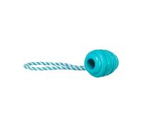 Mordedor de perro Trixie Super Strong Azul Talla única