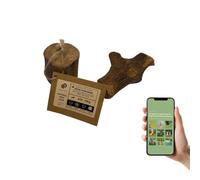 Mordedor Perro Madera de Olivo Rústico SAXVI PETS - Palo Natural Aceite de Oliva para Higiene Dental, Sarro y Ansiedad - Juguete Perro Resistente Cada Pieza es Única + Guía Juego (S/M (Paquete de 2))