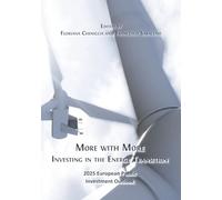 More with More: Investing in the Energy Transition: 14 (Open Reports)