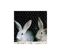 MOREDA - Enrejado Tt 19/0,7/100