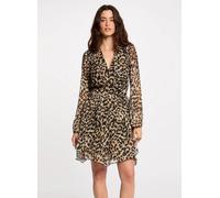 Morgan 252-RLION 38 Multicolor