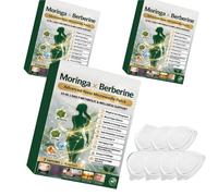 Moringa 10-IN-1 parche, Moringa X Berberina Slimming, 10 en 1 Nano Microneedle, Natural Slimming for Weight Loss, Flat Stomach, Easy to Apply, for Men and Women, Natural Ingredients