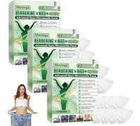 Moringa NAD+ 10 en 1 parches de microneedling parches, moringa x berberina, para deshacerse rápidamente del abdomen, eliminar el abdomen, tonificar las piernas, tiritas ligeras y tonificadoras para