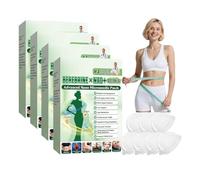 Moringa Parche 10 en 1 con Berberina Natural, Ultra-Fino e Invisible, Suave y Calmante, para Todos los Tipos de Cuerpo, Hombres y Mujeres 7 parches/1 caja (4PCS)