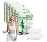 Moringa Parche 10 en 1 con Berberina Natural, Ultra-Fino e Invisible, Suave y Calmante, para Todos los Tipos de Cuerpo, Hombres y Mujeres 7 parches/1 caja (6PCS)