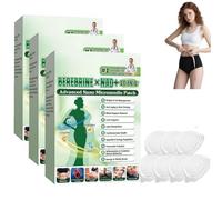 Moringa x Berberina Tiritas, 2026 Nuevo Apósito adelgazante, 10 en 1 Advanced Nano Micro Agujas Tiritas Naturales Metabalance para Hombres y Mujeres, Para Todos los tipos de cuerpo, 21 Unidades