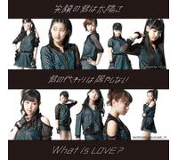 MORNING MUSUME14 - EGAO NO KIMI HA TAIYO SA/KIMI NO KAWARI HA IYASHINAI/WHAT IS LOVE? TYPE-B(+DVD)(ltd.)