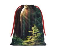 Morning Sunlight In Wilderness - Bolsa de regalo de Navidad con cordón, una opción conveniente para empaquetar pequeños regalos