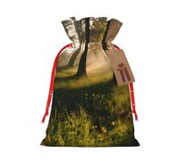 Morning Sunlight In Wilderness Bolsas de regalo reutilizables de Navidad y festivales, bolsas de embalaje de regalo, bolsas de tela elegantes hechas a mano