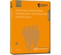Morosidad Empresarial: Prevencion Y Recuperacion Impagos