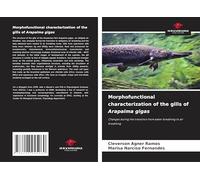 Morphofunctional characterization of the gills of Arapaima gigas: Changes during the transition from water breathing to air breathing