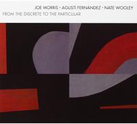Morris - From the Discrete to the Particular