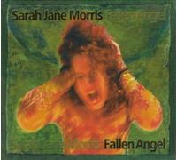 Morris Sarah Jane - Fallen Angel