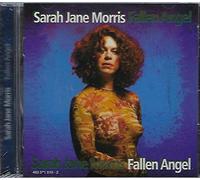 Morris, Sarah Jane - Fallen Angel