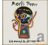 Morris Tepper - Big Enough to Disappear
