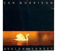 Morrison Van - Avalon Sunset