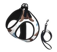 Morsa marrón en Acuarela,Arnés para Mascotas, arnés Reflectante Ajustable para Perros,M
