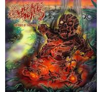 Mortal Wound - The Anus of the World [VINYL] [Vinilo]