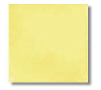 Mosaico de cemento Auténtico 1 m2 (25 piezas) Ref: SQP20G8