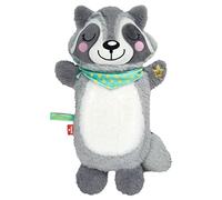 moses. Pequeña bolsa de agua caliente para mapache, botella de calor con revestimiento, funda de agua caliente con bonito diseño de mapache, botella de cama extraíble y lavable para bebés y niños