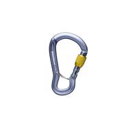 Mosquetón Black Diamond GRIDLOCK SCREWGATE CARABINER (Gris)