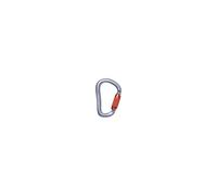 Mosquetón Black Diamond VAPORLOCK TWISTLOCK CARABINER (Gris)
