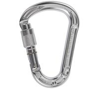 Mosquetón Climbing Technology Concept SG silver